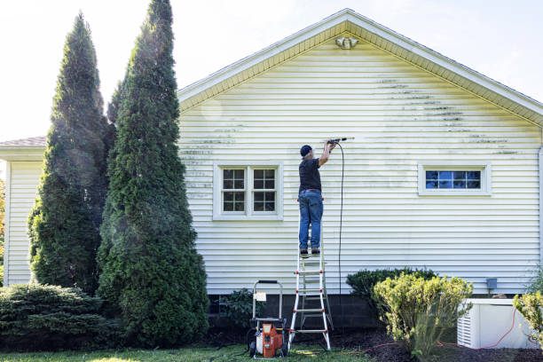 Best House Pressure Washing  in Swisher, IA